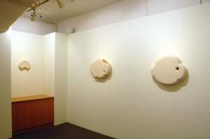 fukuzumi gallery 1